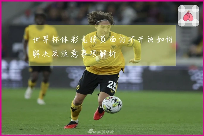 世界杯体彩竞猜页面打不开该如何解决及注意事项解析