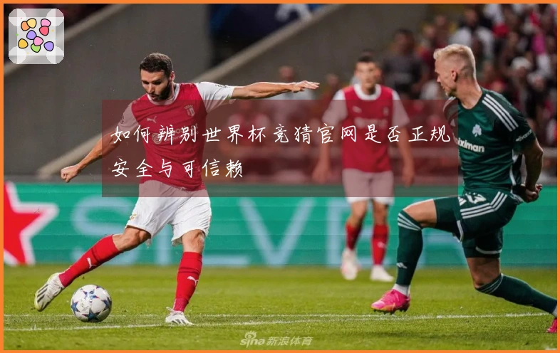 如何辨别世界杯竞猜官网是否正规安全与可信赖