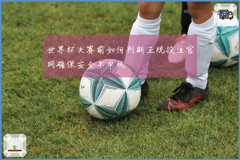 世界杯决赛前如何判断正规投注官网确保安全不中坑