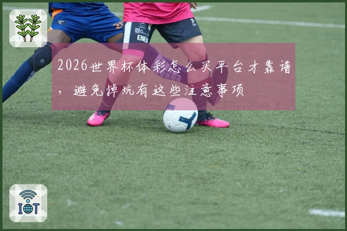 2026世界杯体彩怎么买平台才靠谱，避免掉坑有这些注意事项
